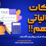 نکات مالیاتی مهم که هر کسب‌وکار باید بداند! - نورترازان معین