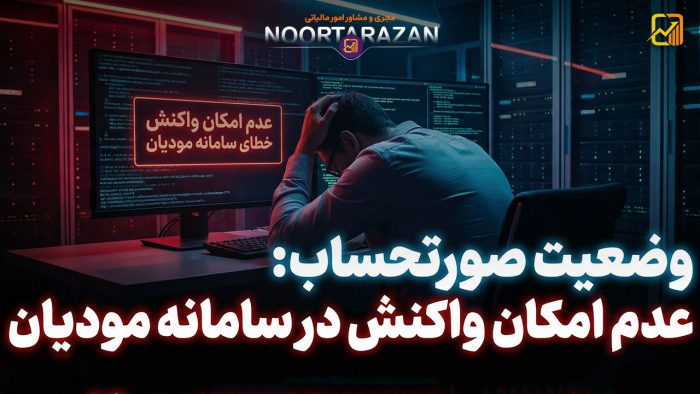 وضعیت صورتحساب عدم امکان واکنش در سامانه مودیان - نورترازان معین